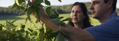 Sustainability Landing Page